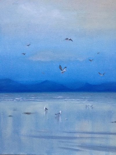 Seagulls oil