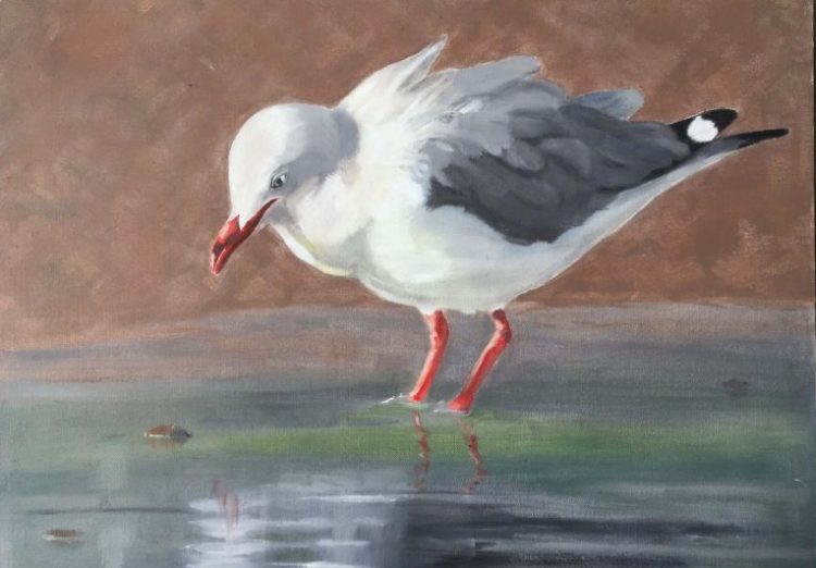 Seagull oil