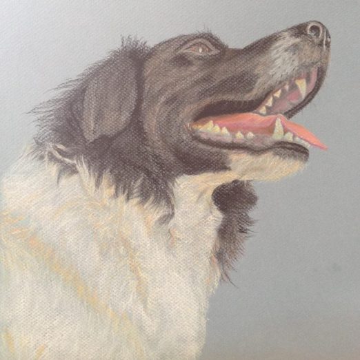 dog in pastel