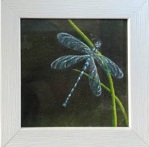 dragonfly framed oil