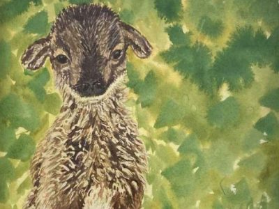 lamb watercolor