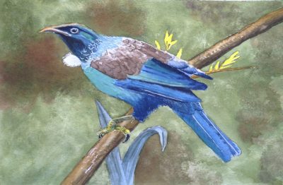 Bird watercolor